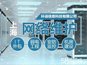 上海楊浦區(qū)IT外包服務(wù) 專業(yè)網(wǎng)絡(luò)維護(hù)與計(jì)算機(jī)軟硬件一站式解決方案